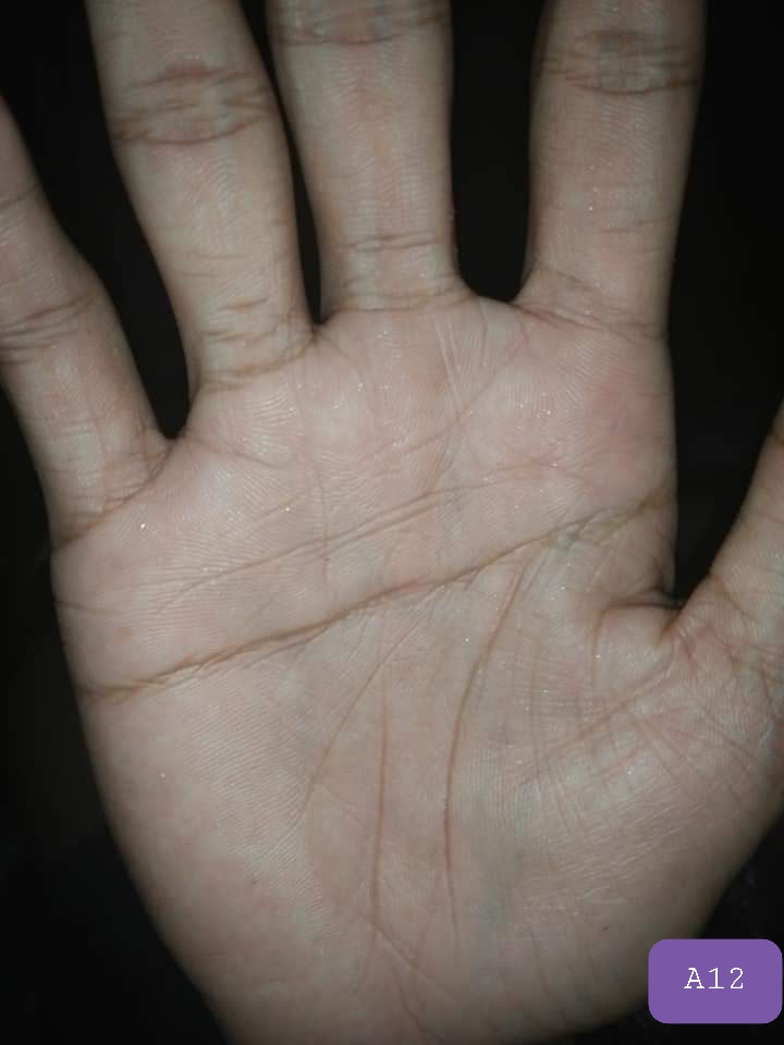 A12 THREE MAJOR LINE INFLUENCE