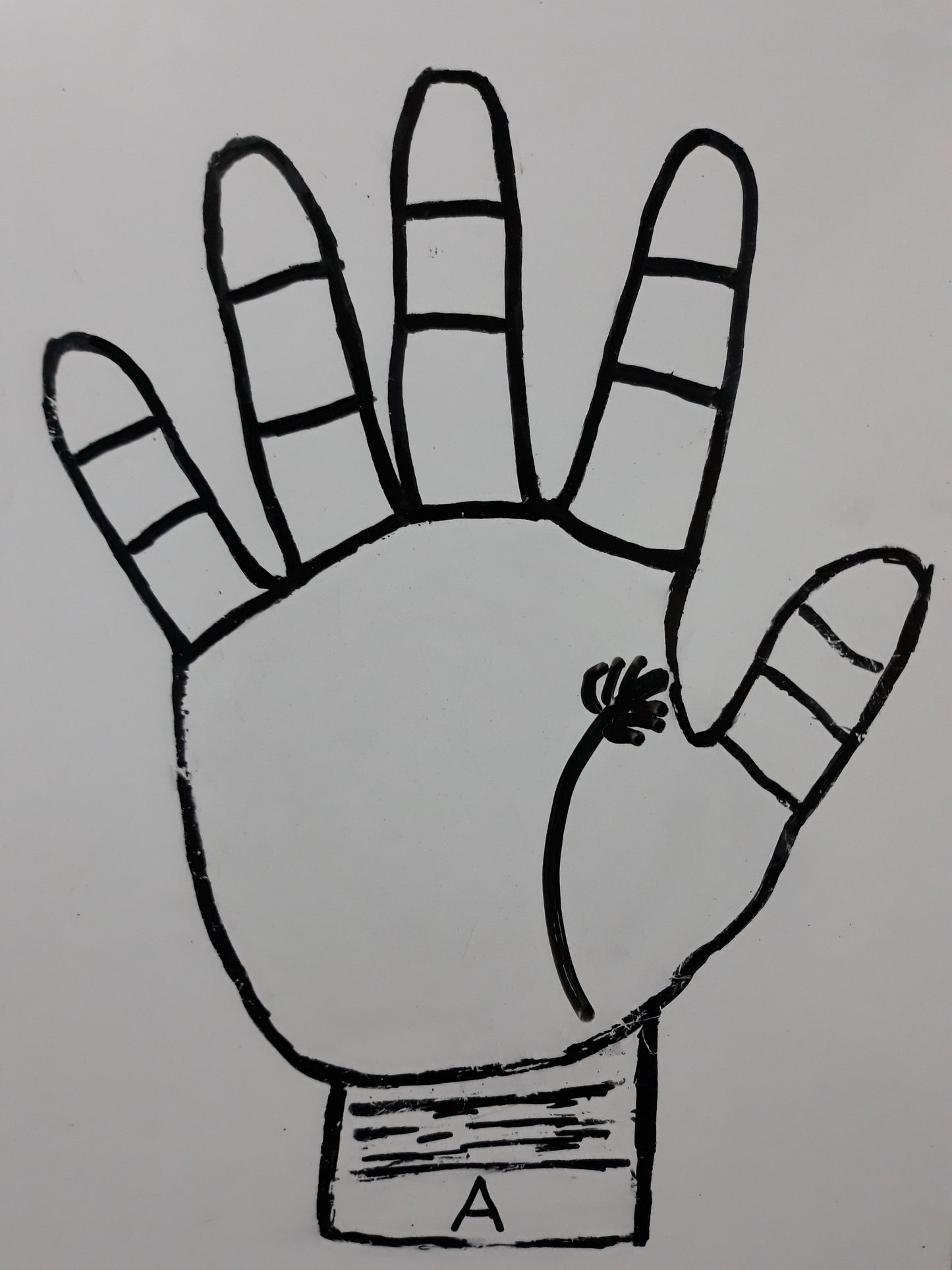 A24 LIFE LINE CLUSTER AT ORIGIN