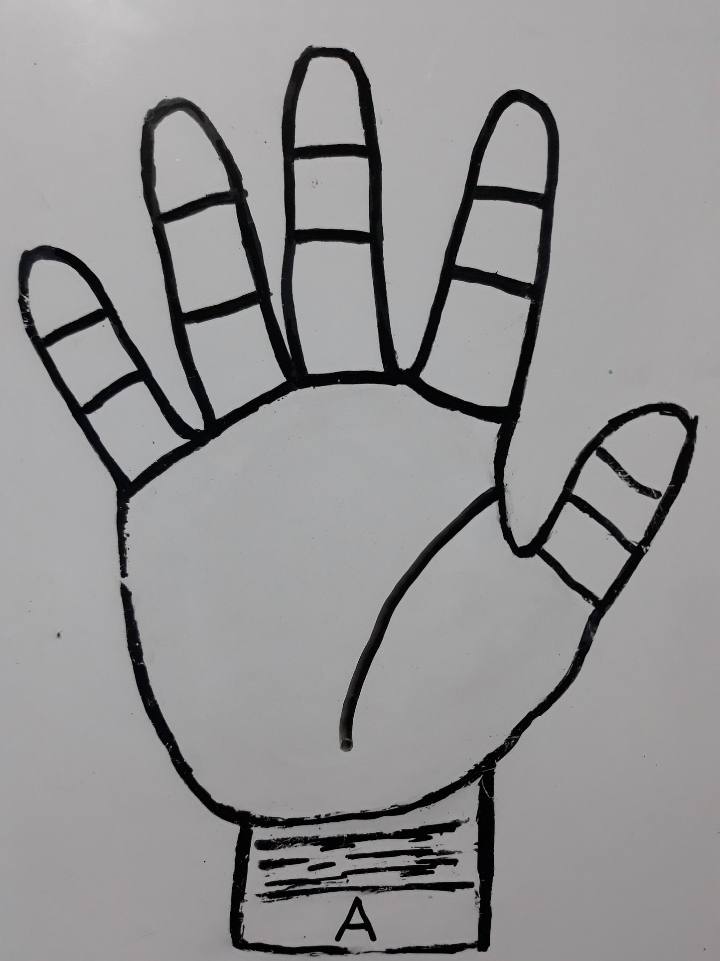 A48 DISTANCING FROM THE VENUS