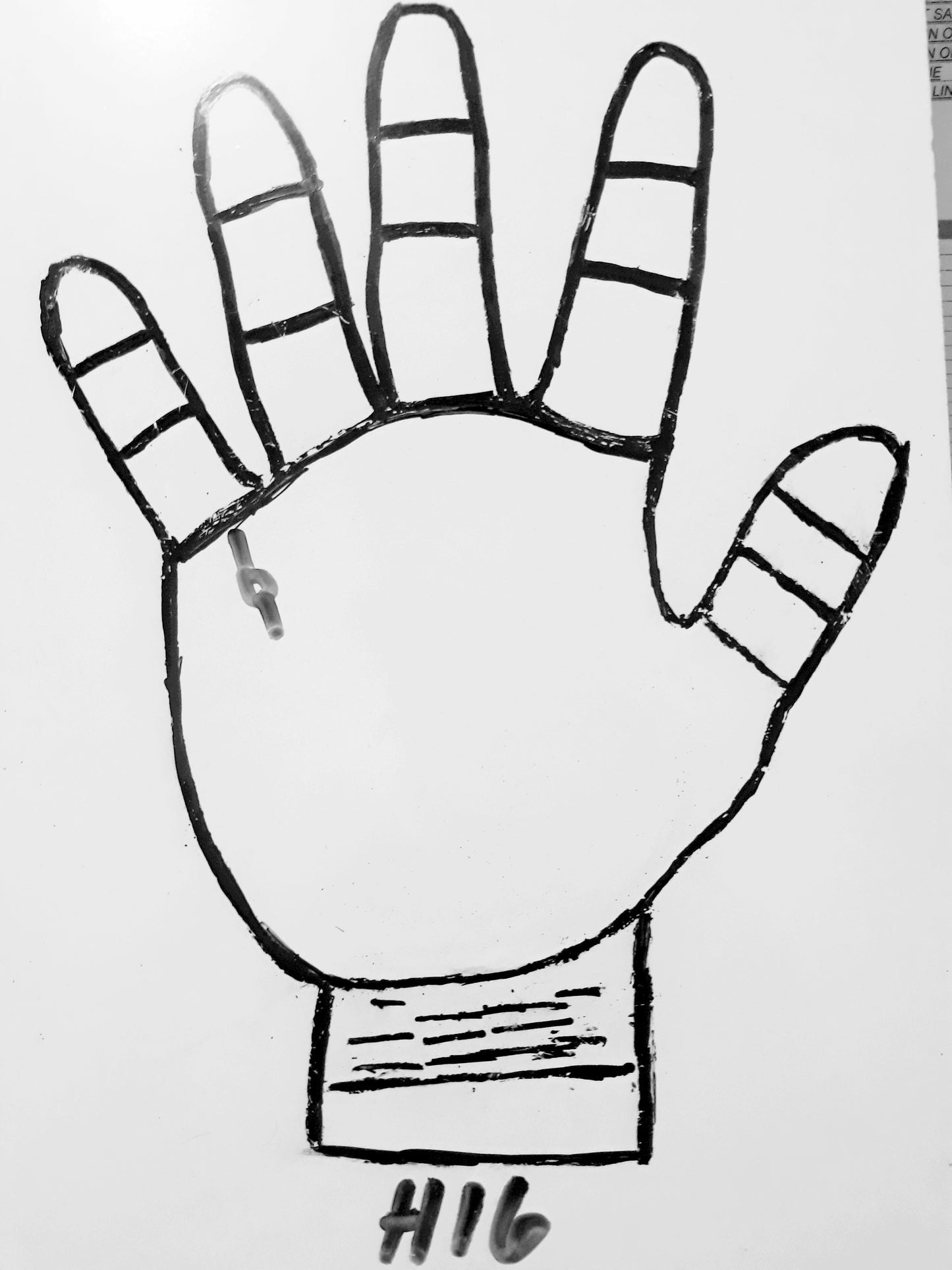 H16 HEALTH : FOR CHILDREN LINE