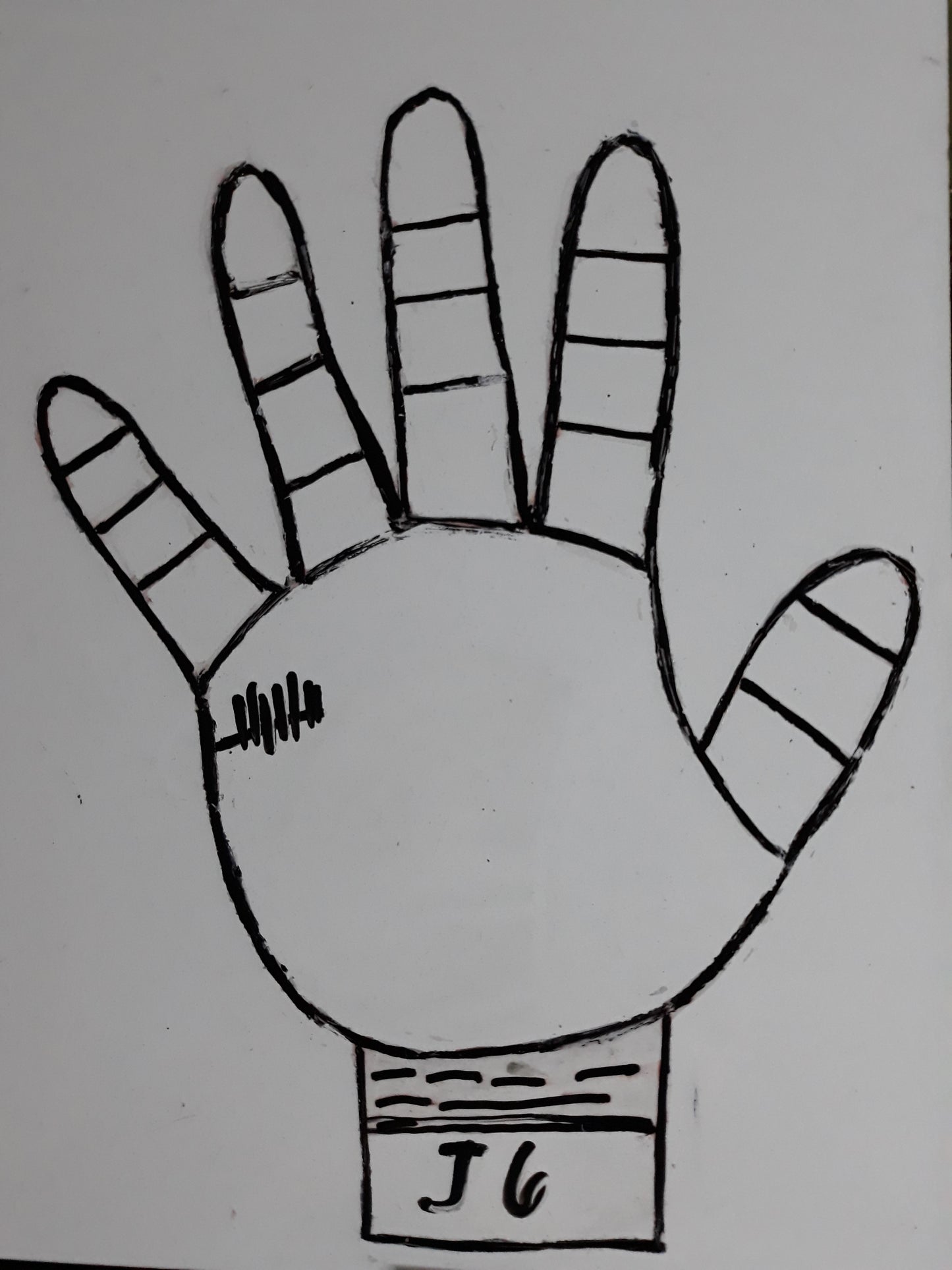 J6 CHILDREN CONFLICTING PARENTS