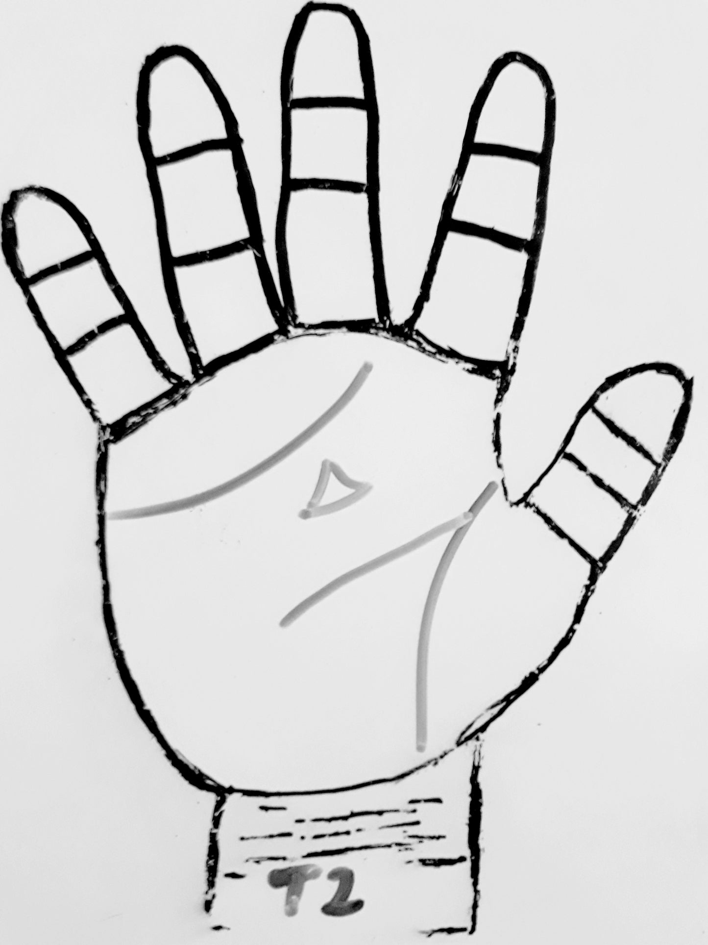 T2 TRIANGLE PART OF THE HAND
