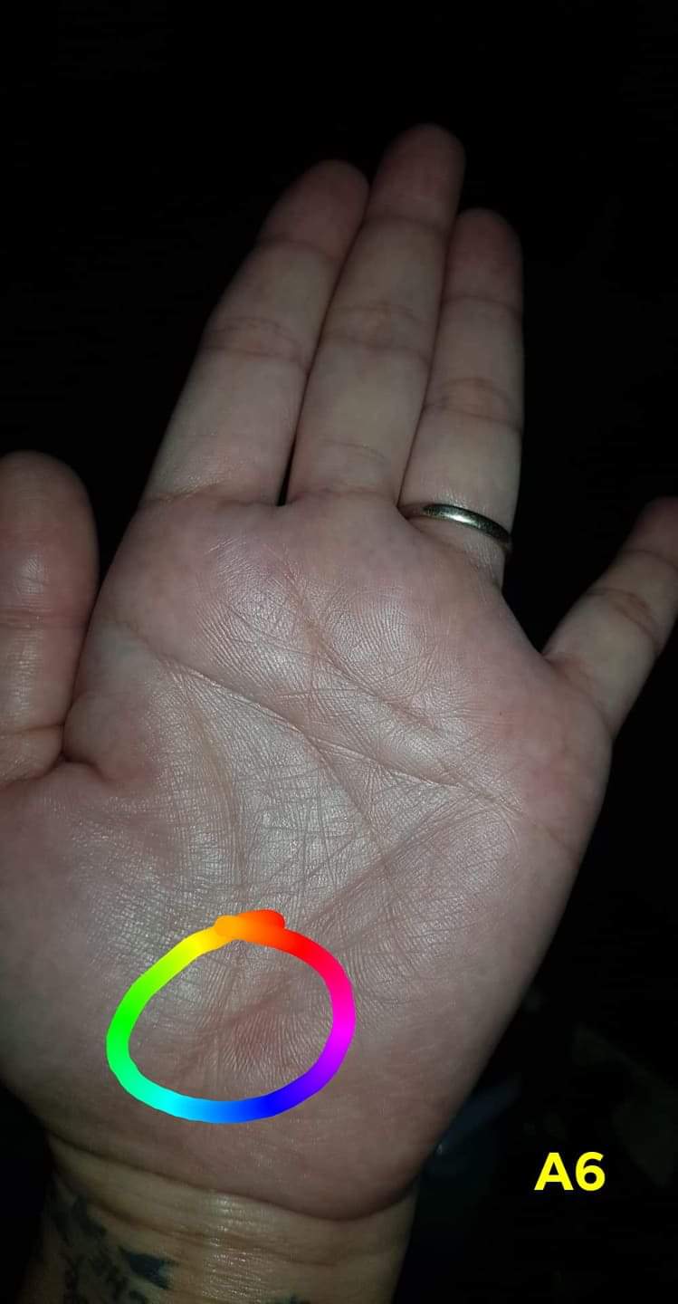 A6 LIFE LINE TASSELED AT END