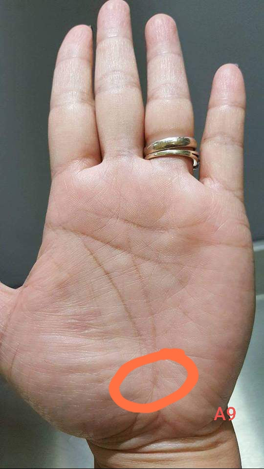 A9 LIFE LINE CROSS AT THE END