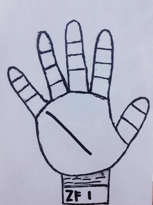 ZF1 STRONG AND CLEAR BUSINESS LINE