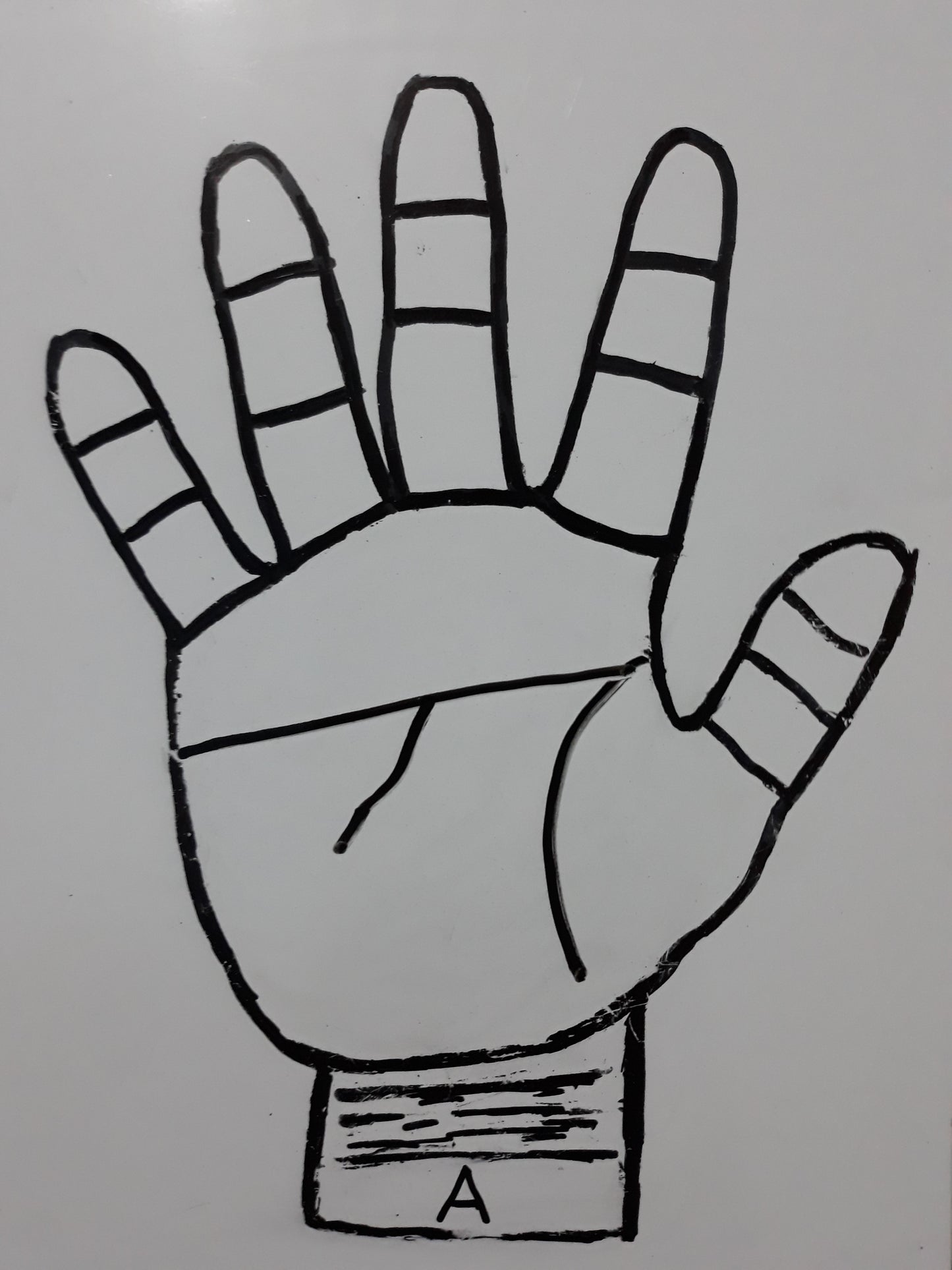 A12  THREE MAJOR LINE  INFLUENCE