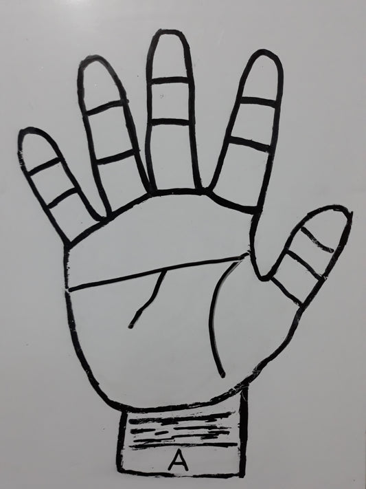 A12  THREE MAJOR LINE  INFLUENCE