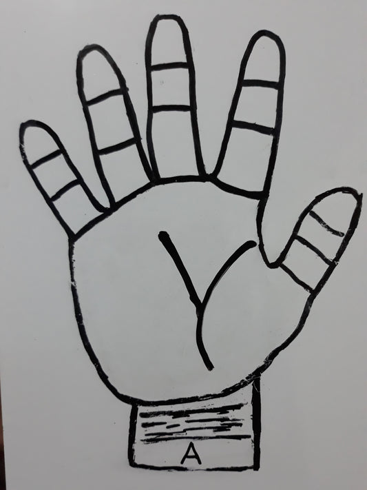 A16 LIFE LINE AND SUN LINE