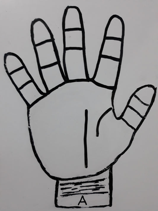 A20 LIFE LINE END ABRUPTLY