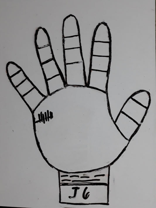 J6 CHILDREN CONFLICTING PARENTS