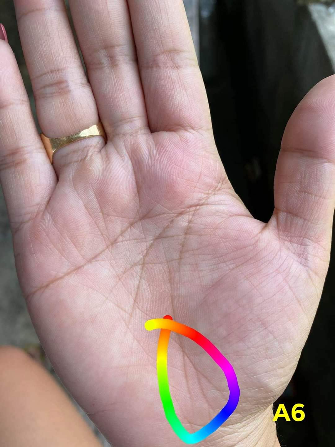 A6 LIFE LINE TASSELED AT END